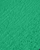 Zoom sur le rendu de la résine MMARoute™ Rollgrip verte appliquée au rouleau