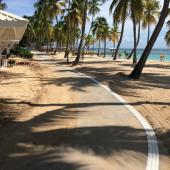 Bande d'aide à l'orientation TacGuide™ MTA blanche 17cm - Cheminement plage en Guadeloupe